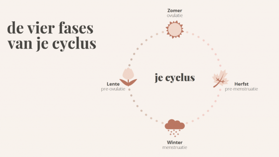 hormooncyclus